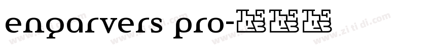 engarvers pro字体转换